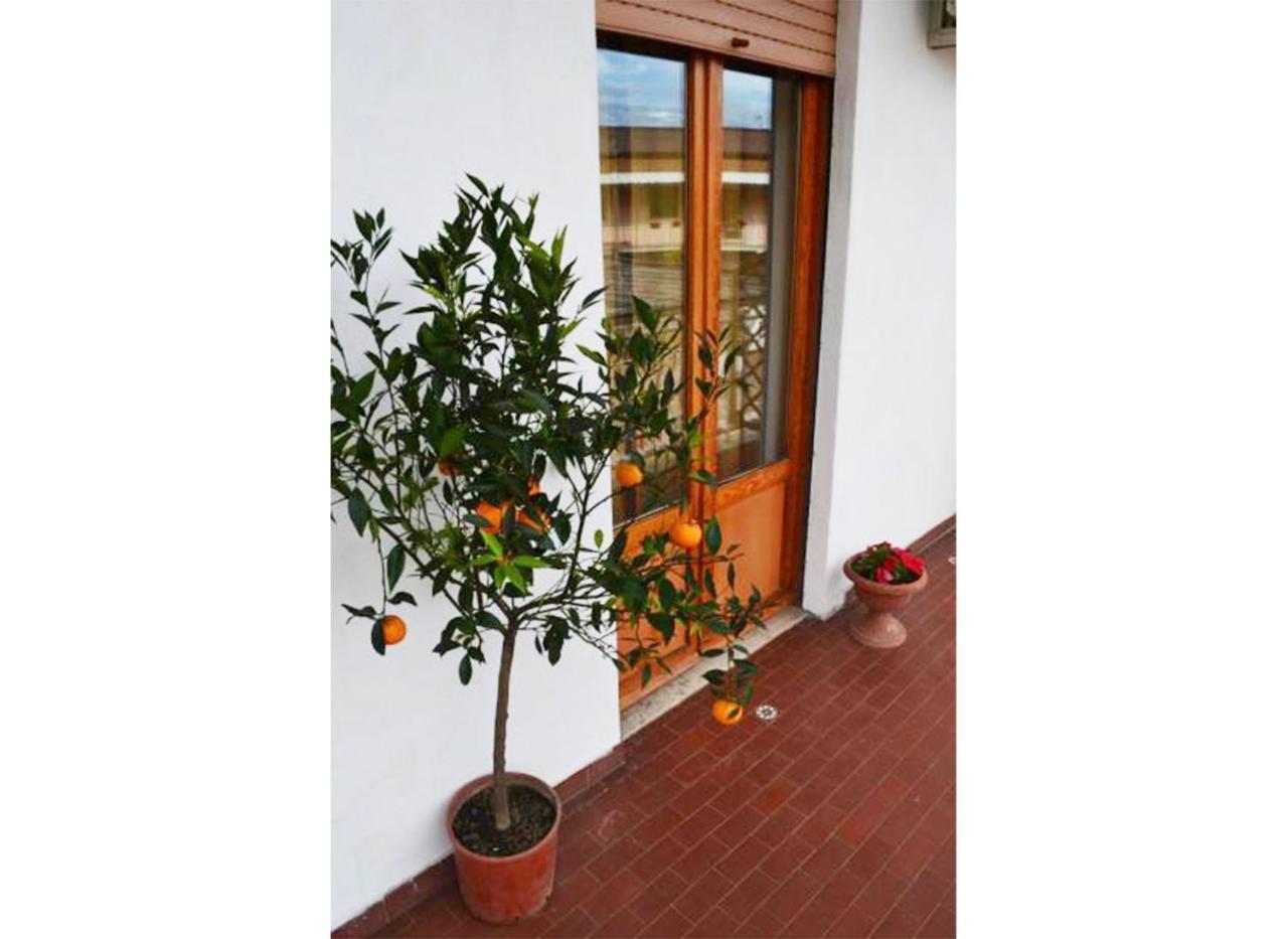 Casa Celeste Ρώμη Εξωτερικό φωτογραφία